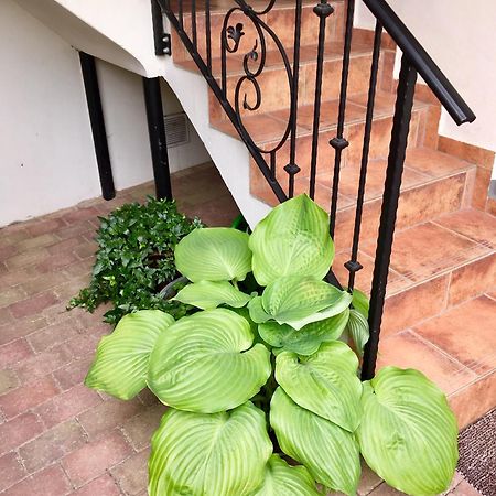 Apartmany U Vavrince Susice Exterior photo